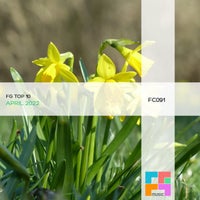 VA – FG Top 10 April 2022 [FGComps]