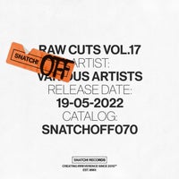VA – Raw Cuts, Vol. 17 [! Records]
