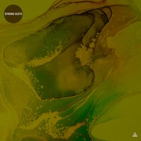 VA – Strong Suits [Obazda]