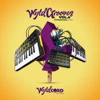 VA – WyldGrooves Vol.4 – Traxsource Edition [WYLD131GG]