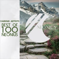 VA – Best of 100 Neonius [BNR100]