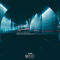 VA – Best of Biotech, Vol. 3 [Biotech Recordings]