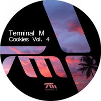 VA – Terminal M Cookies Vol. 4 [TERM137]