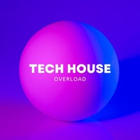 VA – Tech House Overload [Follow The Beat]