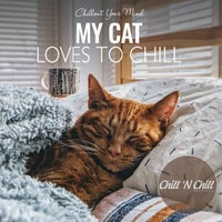 VA – My Cat Loves to Chill Chillout Your Mind – (Chill ‘N Chill Records)