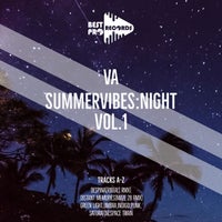 VA – Summer Vibes_ Night [SVN01]