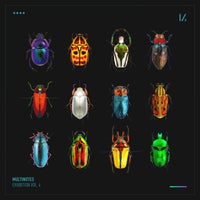 VA – Exhibition, Vol. 4 [MULTINOTES42]