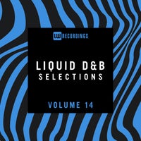 VA – Liquid Drum & Bass Selections, Vol. 14 [LW Recordings]