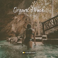 VA – Organic House 01 [FM052LP]