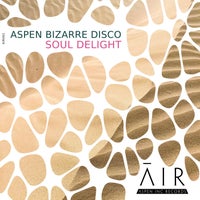 aspen bizarre disco – Soul Delight [Aspen Inc Records]