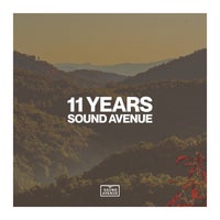 VA – 11 Years Sound Avenue [SA025LP]