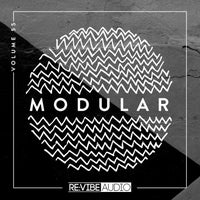VA – Modular, Vol. 55 [RACOMP555B]