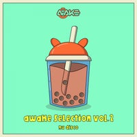 VA – AWK Selection Vol. 2 [AWK Recordings]
