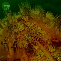 VA – Deep Floors [Obazda]