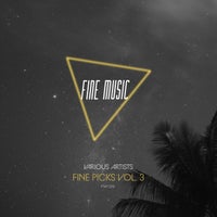 VA – Fine Picks Vol. 3 [FM139]