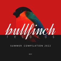 VA – Bullfinch Summer 2022 Compilation [BF327]
