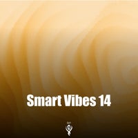 VA – Smart Vibes 14 [Smart Phenomena Records]