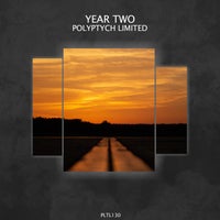 VA – Polyptych Limited Year Two [PLTL130]