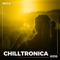 VA – Chilltronica 016 [LW Recordings]
