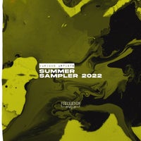 VA – Summer Sampler 2022 FREQSS22