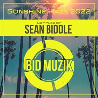 VA – Sunshine Haze 2022 [BM338]