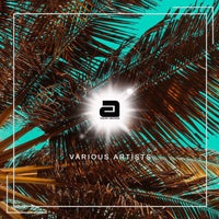 VA – Doing Your Thing [ANIMAR096]