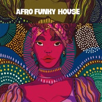 VA – Afro Funky House IRM2161