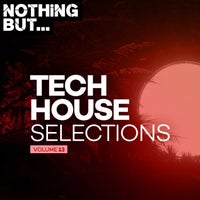 VA – Nothing But… Tech House Selections, Vol. 13 NBTHS13B
