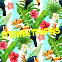 VA – Items & Trips 5 NATCOMP046