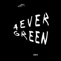 VA – 4evergreen 009 [APL4VRGRN009][FLAC]