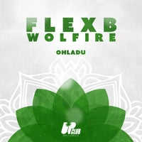 FlexB & Wolfire – Ohladu [Up Club Records]