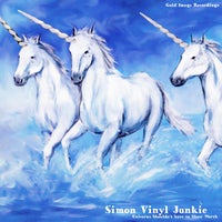 Simon Vinyl Junkie – Unicorns Shouldn’t Have To Show Worth [Gold Image Recordings]