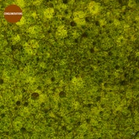 VA – Conglomerations [Obazda]