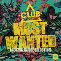 VA – Most Wanted – Jacking House Selection Vol. 68 CSCOMP2997