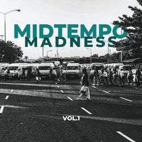 VA – Midtempo Madness, Vol. 1 [Deep Inspiration Show Records]