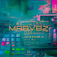 VA – MRBVBZ CLASSICS Vol. 2 MRB378