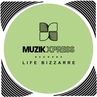 Ministry Of Funk – Ministry Of Funk – Life Bizzarre [MXP599]