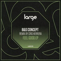 B&S Concept – Feel Good EP – (Large Music)