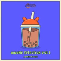 VA – AWK Selection Vol. 3 [AWK Recordings]