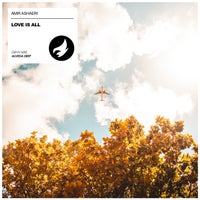 Amir Ashaeri – Love Is All [Alveda Deep]