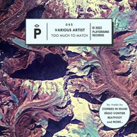 VA – Too Much To Match [PGR045]