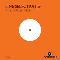 VA – Fine Selection – [Vibetek Records]