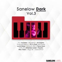 VA – Sanelow Dark Vol. 3 – (Sanelow Label)