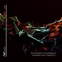 Ahmed Helmy & Gid Sedgwick – Exploited Lover [AVA Deep]
