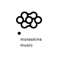 Volski – Swayak [Moleskine Music]