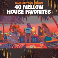 VA – 40 Mellow House Favorites (30years of Underground Favorites) [Irma Dancefloor]