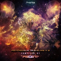 VA – Psychedelic Traveling V. 2 [Progg’n’Roll]