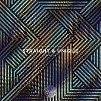 VA – Straight & Unique Issue 39 [FLAC]