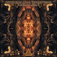 VA – Psychedelics & Perceptions [Rudra Mantra Records]