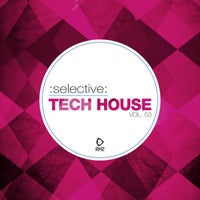 VA – Selective Tech House Vol. 53 [RH2]